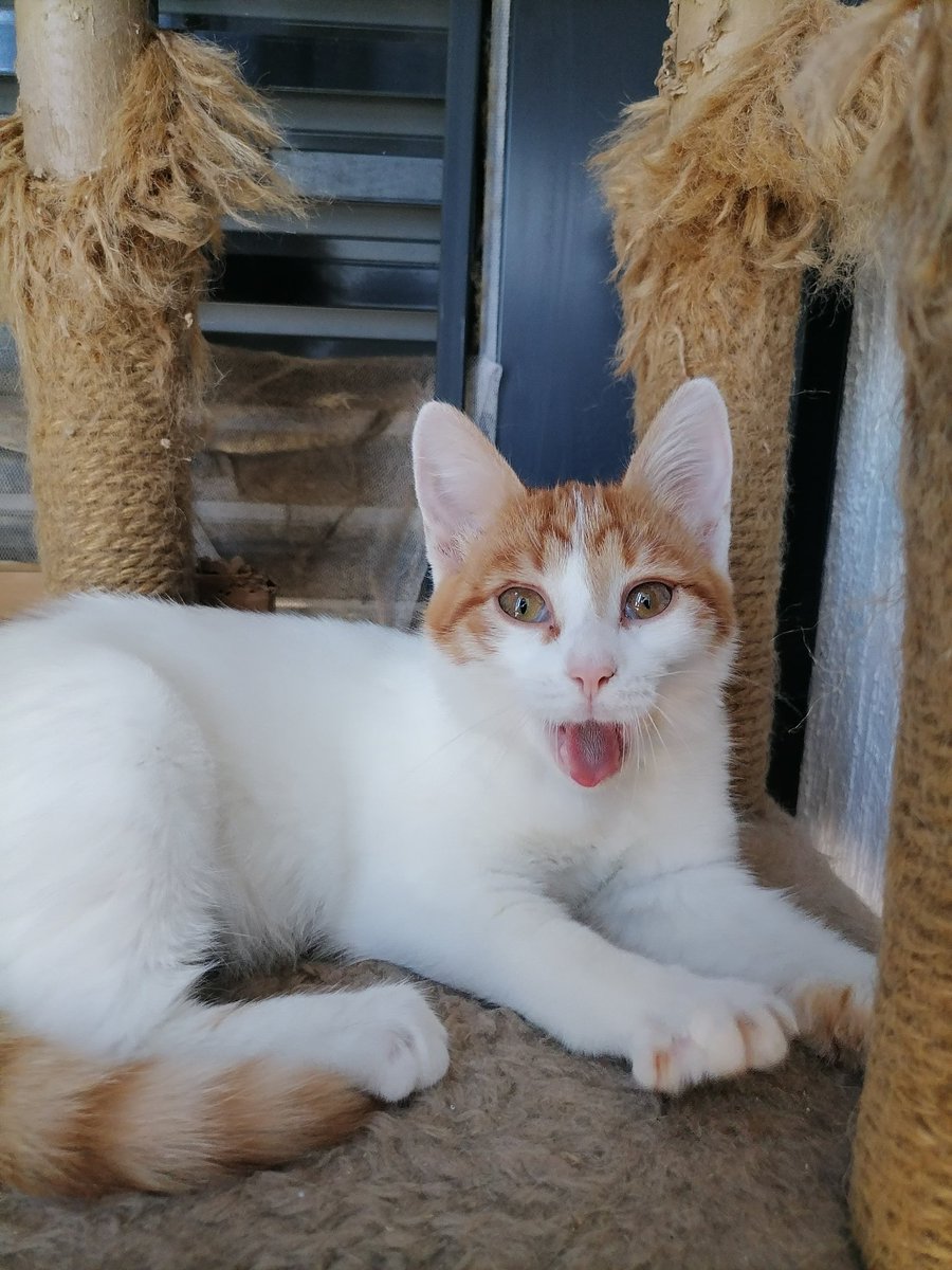 Наташа и тыковки💚☮️🌿 tweet media