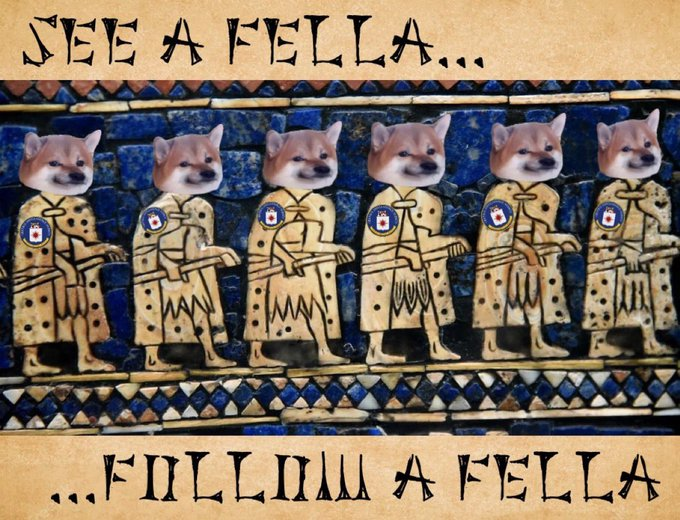 FellaMauro🦩🇺🇦🦩 tweet media