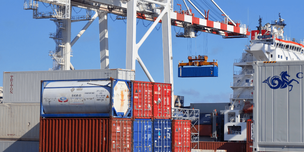 Fede Sturzenegger tweet media