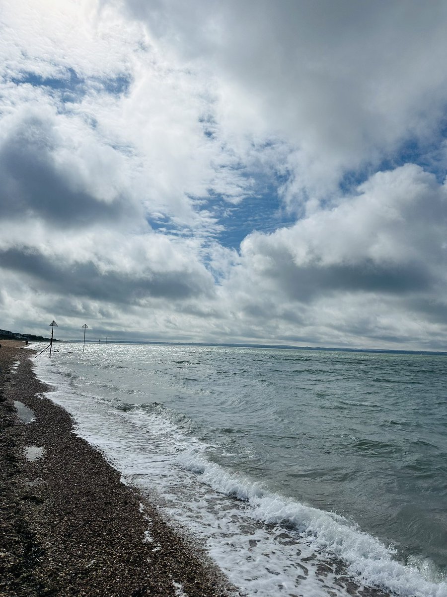 Meningioma Host tweet media