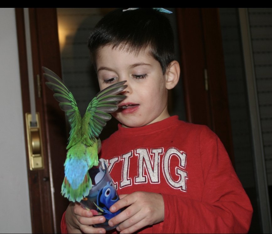 Luca Moroni tweet media