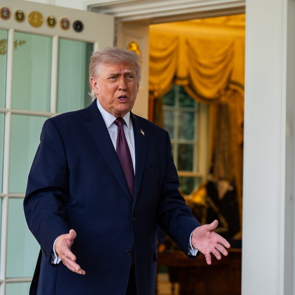 Penguin X tweet media