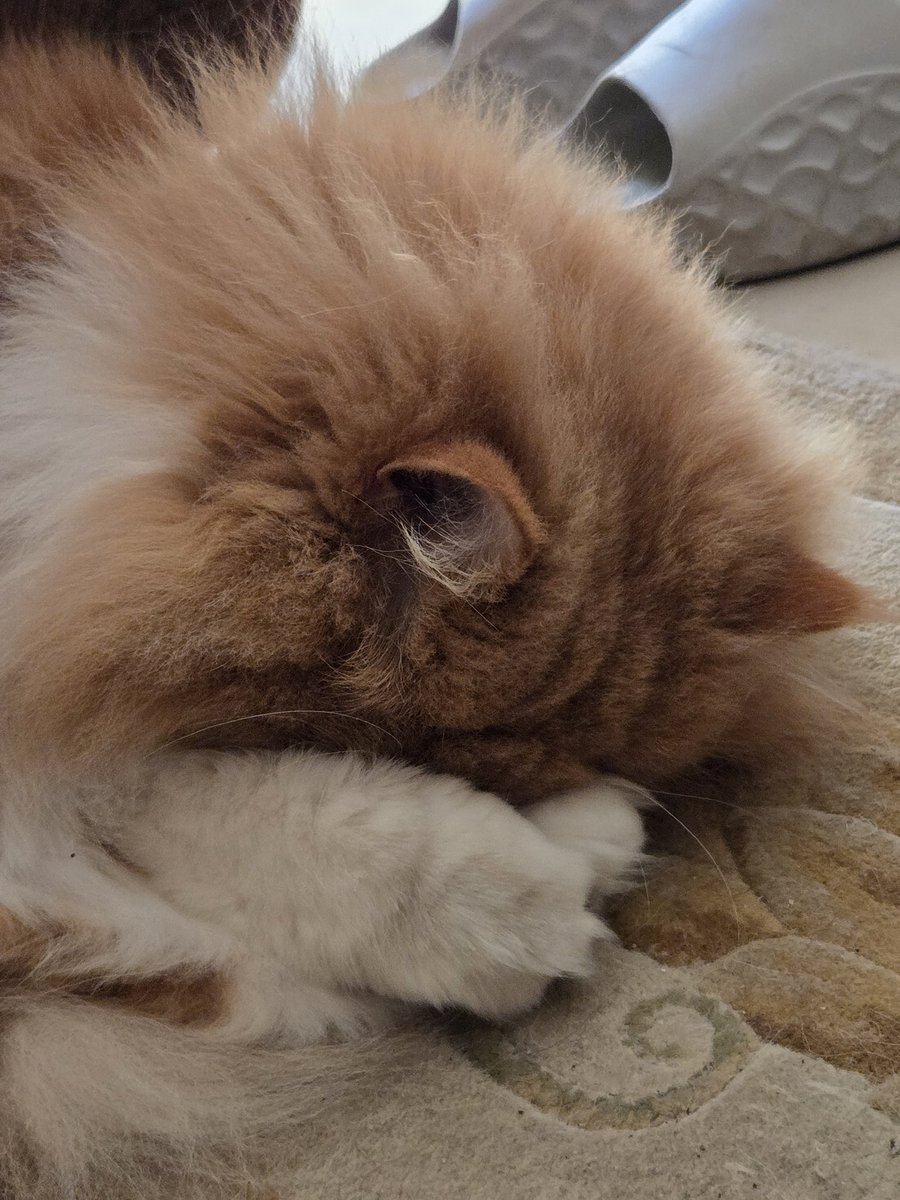 Seoul & sukar tweet media