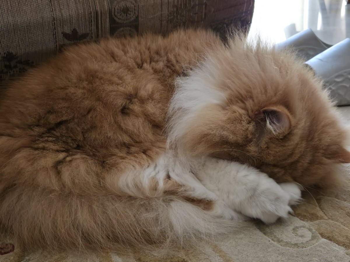 Seoul & sukar tweet media