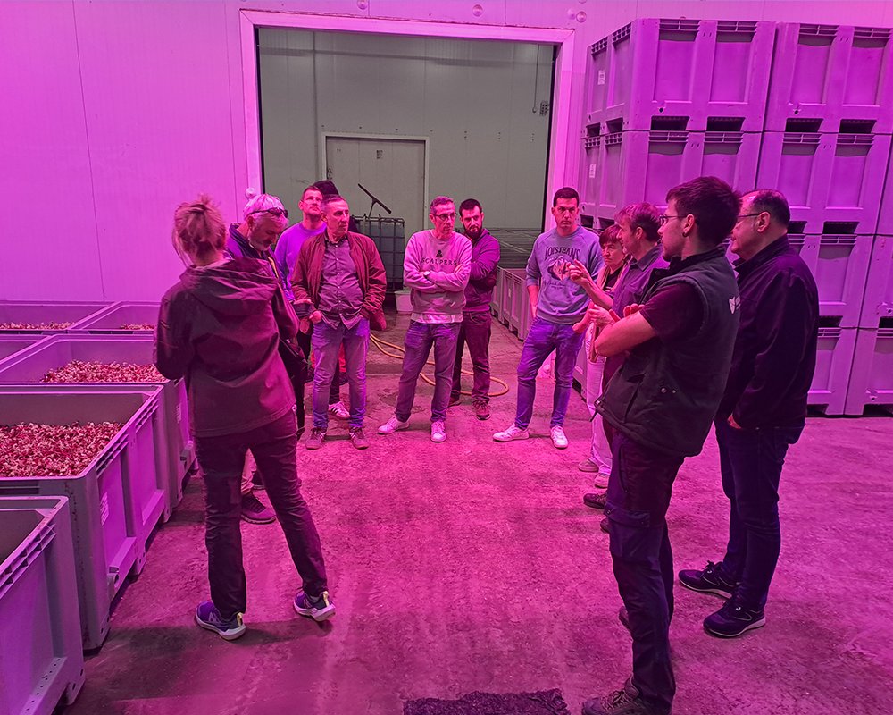 neiker_BRTA's tweet image. 🍇¡Apoyando al sector vitícola vasco!

🌱Salida técnica a distintos viveros de Navarra junto a representantes de las Denominaciones de Origen de #vino de #Euskadi, @UAGAiNFO y Diputación de @Araba, con el objetivo de conocer de primera mano procesos clave del sector vitivinícola.