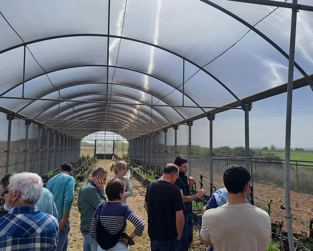 neiker_BRTA's tweet image. 🍇¡Apoyando al sector vitícola vasco!

🌱Salida técnica a distintos viveros de Navarra junto a representantes de las Denominaciones de Origen de #vino de #Euskadi, @UAGAiNFO y Diputación de @Araba, con el objetivo de conocer de primera mano procesos clave del sector vitivinícola.