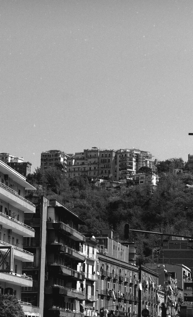 bradipostanco🤍 // girl rules era❤️‍🔥 tweet media