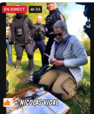 Hélène Banoun tweet media