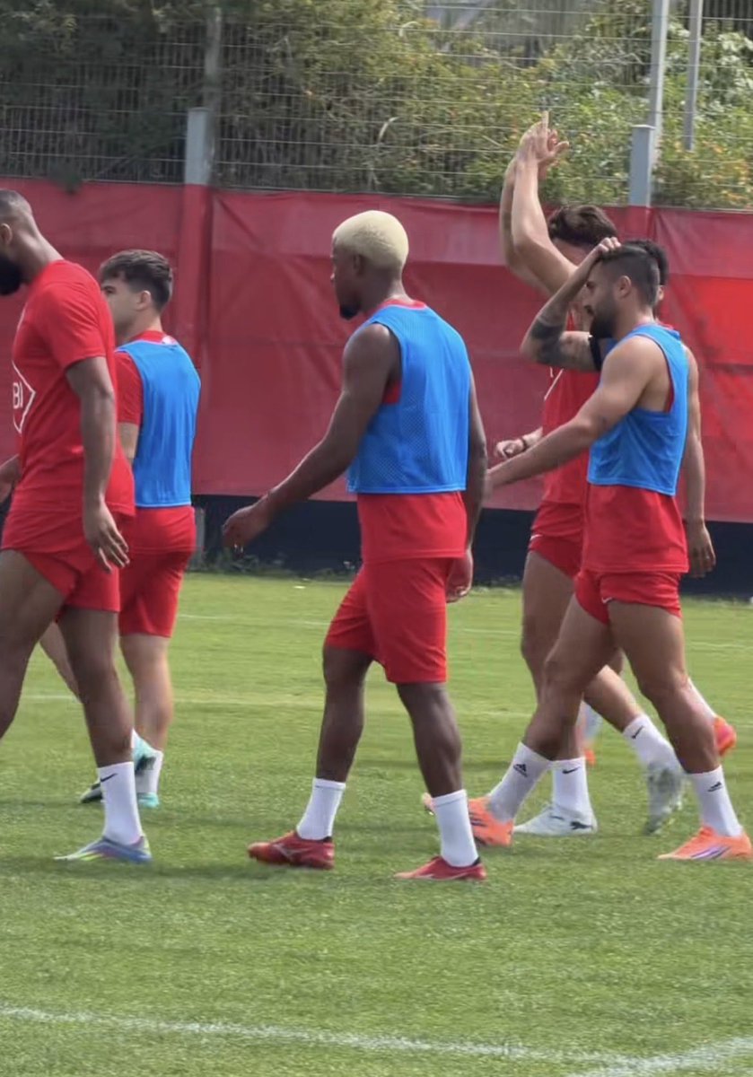 Tal Nahman tweet media