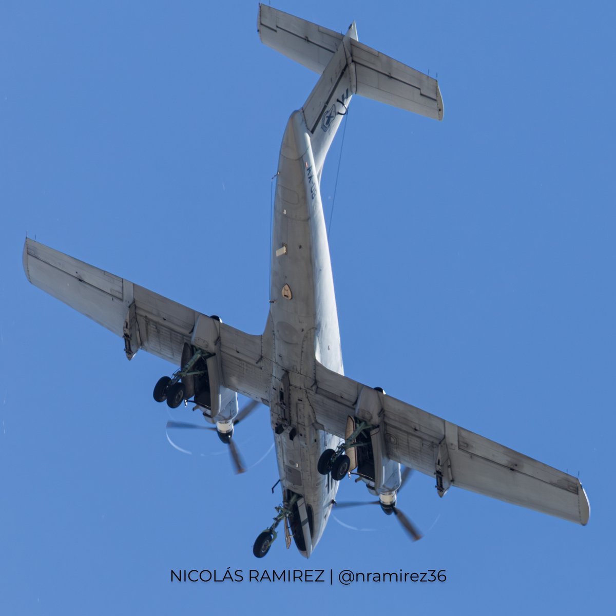 Nicolas Ramirez tweet media