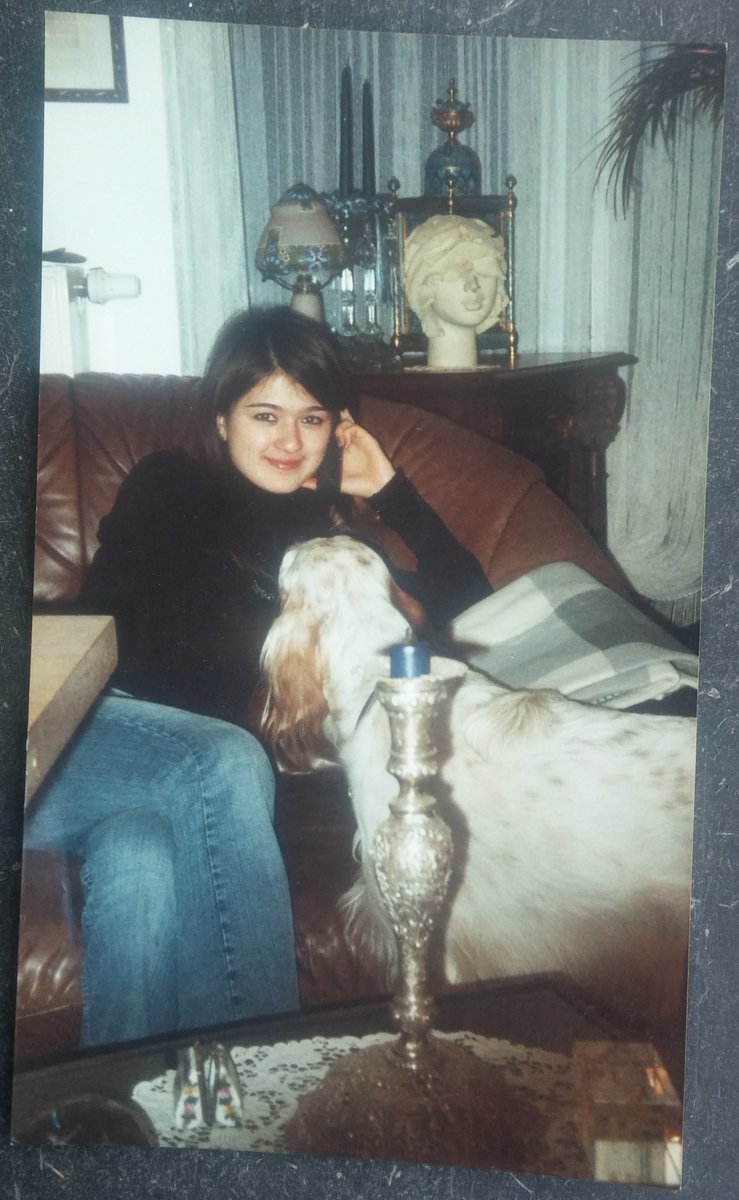 David Wahle tweet media