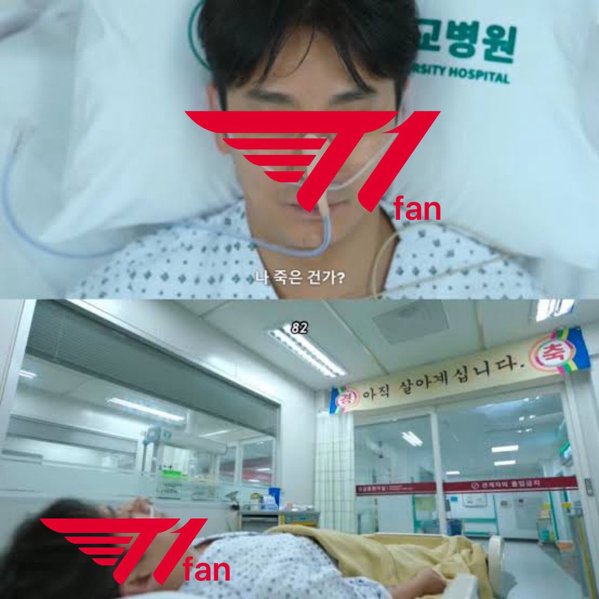 T1 Latinoamérica tweet media