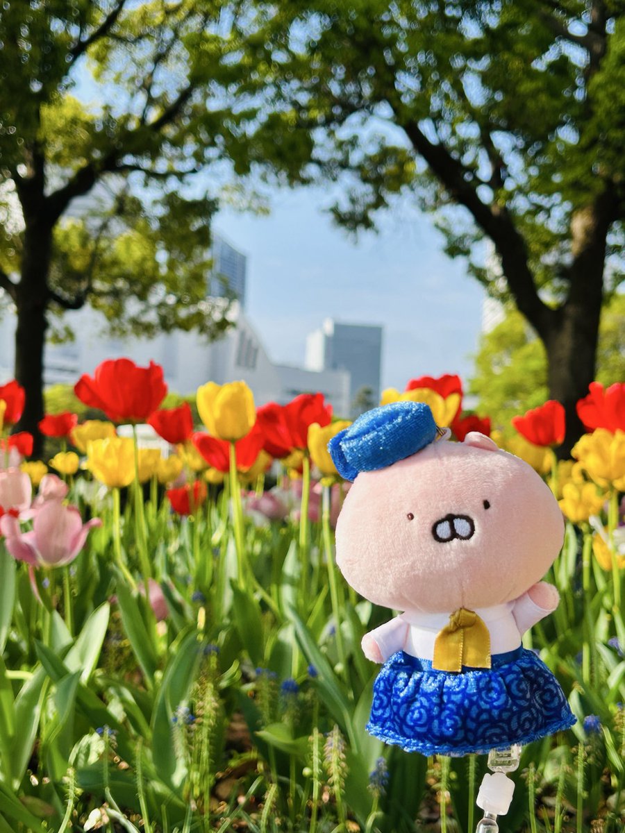 mizu_man_zyu's tweet photo. 横浜 臨海パーク🌷⚓️

うさこちゃん(◍˙∞˙◍)🔵🎗️
青い衣装が素敵✨ https://t.co/bnuol4pMRP