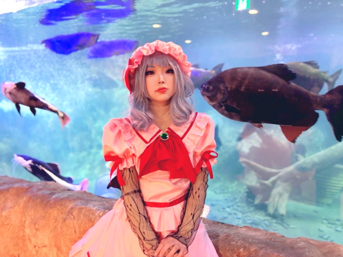 ふうじん　@5/3ﾎﾜｲﾄｷｭｰﾌﾞ tweet media