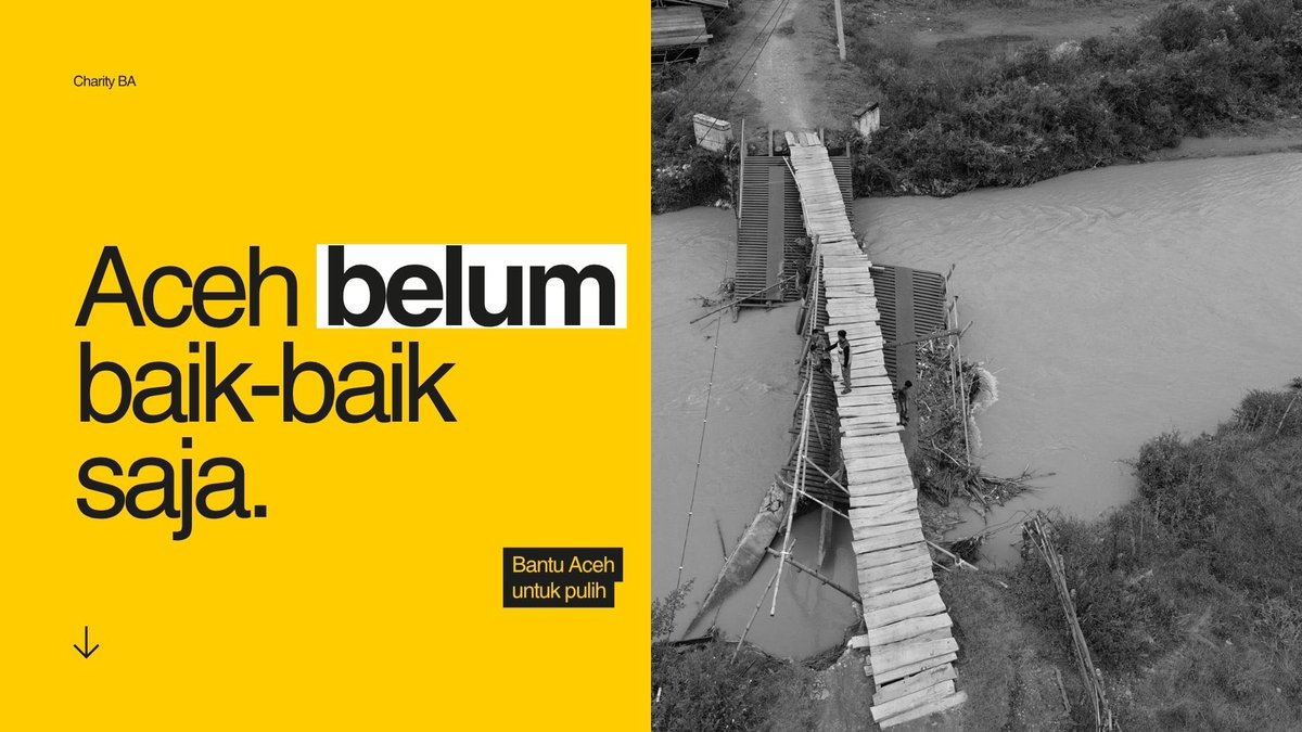 ‧˚꒰🦭꒱ CiLALA tweet media