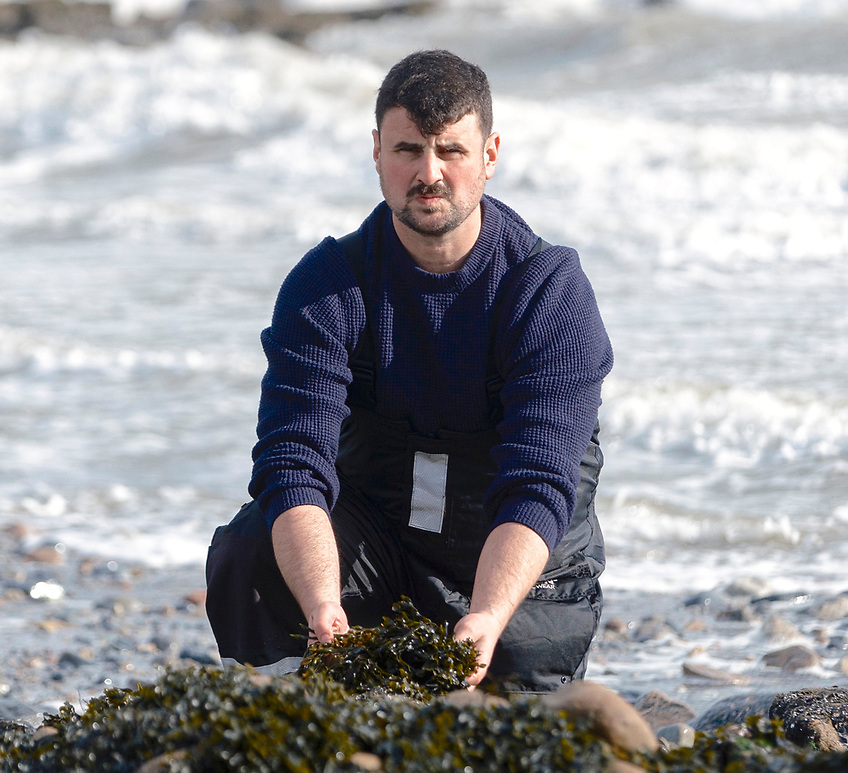 AfloatMagazine's tweet image. Irish Company Secures Funding As Part of EU Project to Develop Seaweed Farming afloat.ie/port-news/fish… #SeaweedFarming #Superfood #IrishInnovation #EUProjects #SustainableFishing