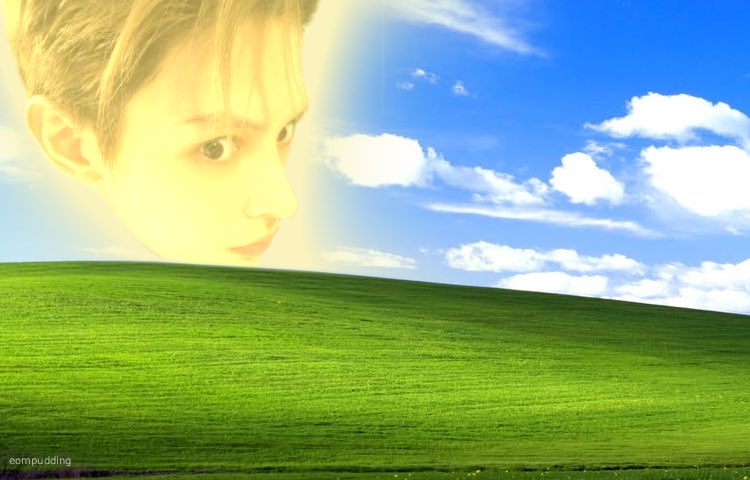 lea 🍮 tweet media