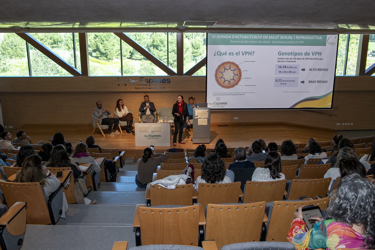 HU Son Espases tweet media