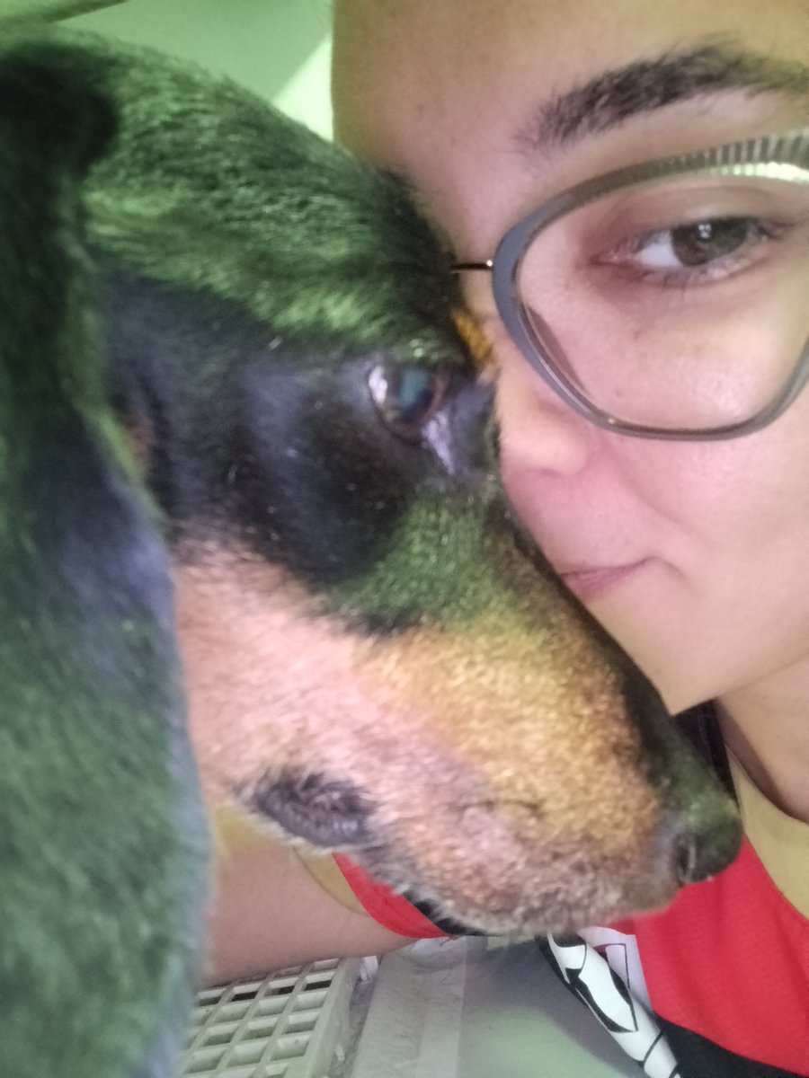 emicrfla's tweet photo. amanhã ja faz 1semana que perdi minha sukitinha e todo santo dia ainda me pego procurando ela pela casa, toda hora olho pros lugares q ela gostava de ficar e vejo ela la, vi a roupinha q ela gostava e chorei
será que alguma hora isso passa? https://t.co/2WgwRR8Lqi