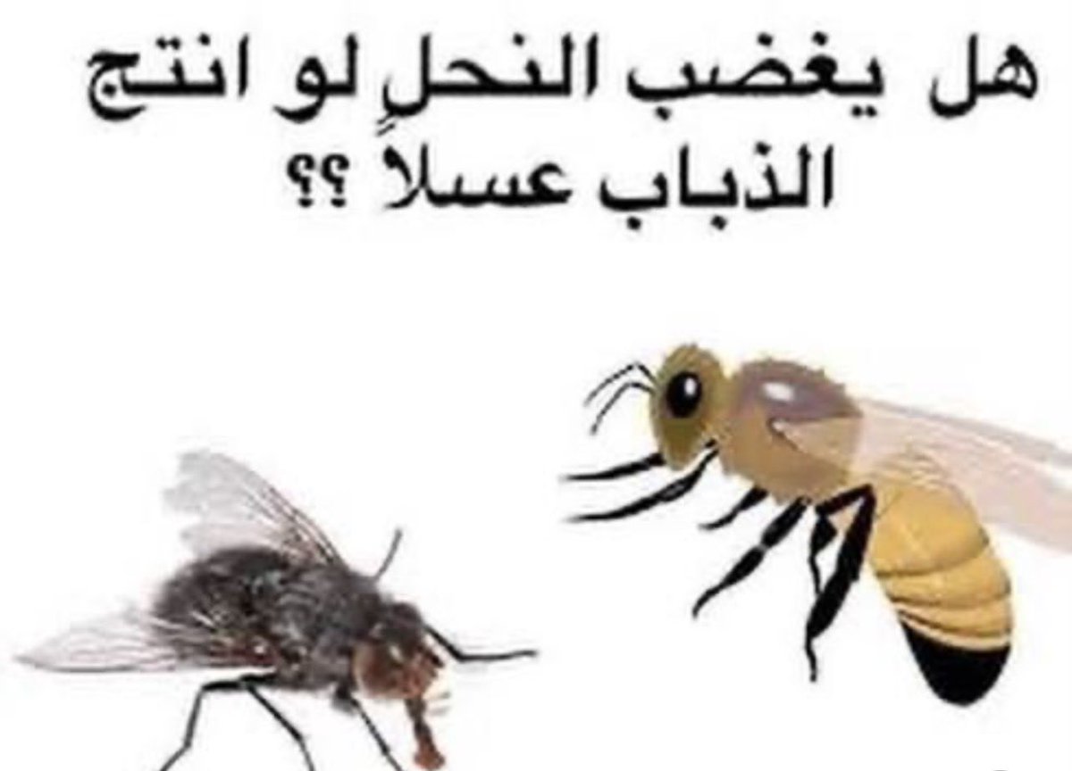 بادينغتون tweet media