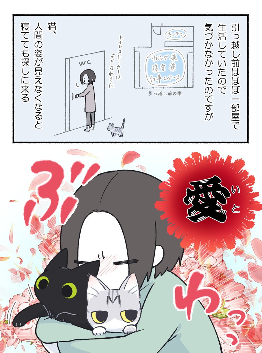 もふのいる生活 tweet media