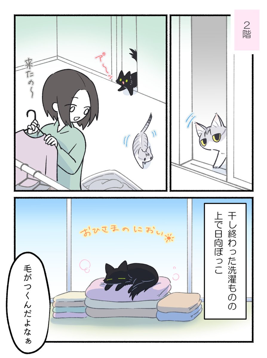もふのいる生活 tweet media