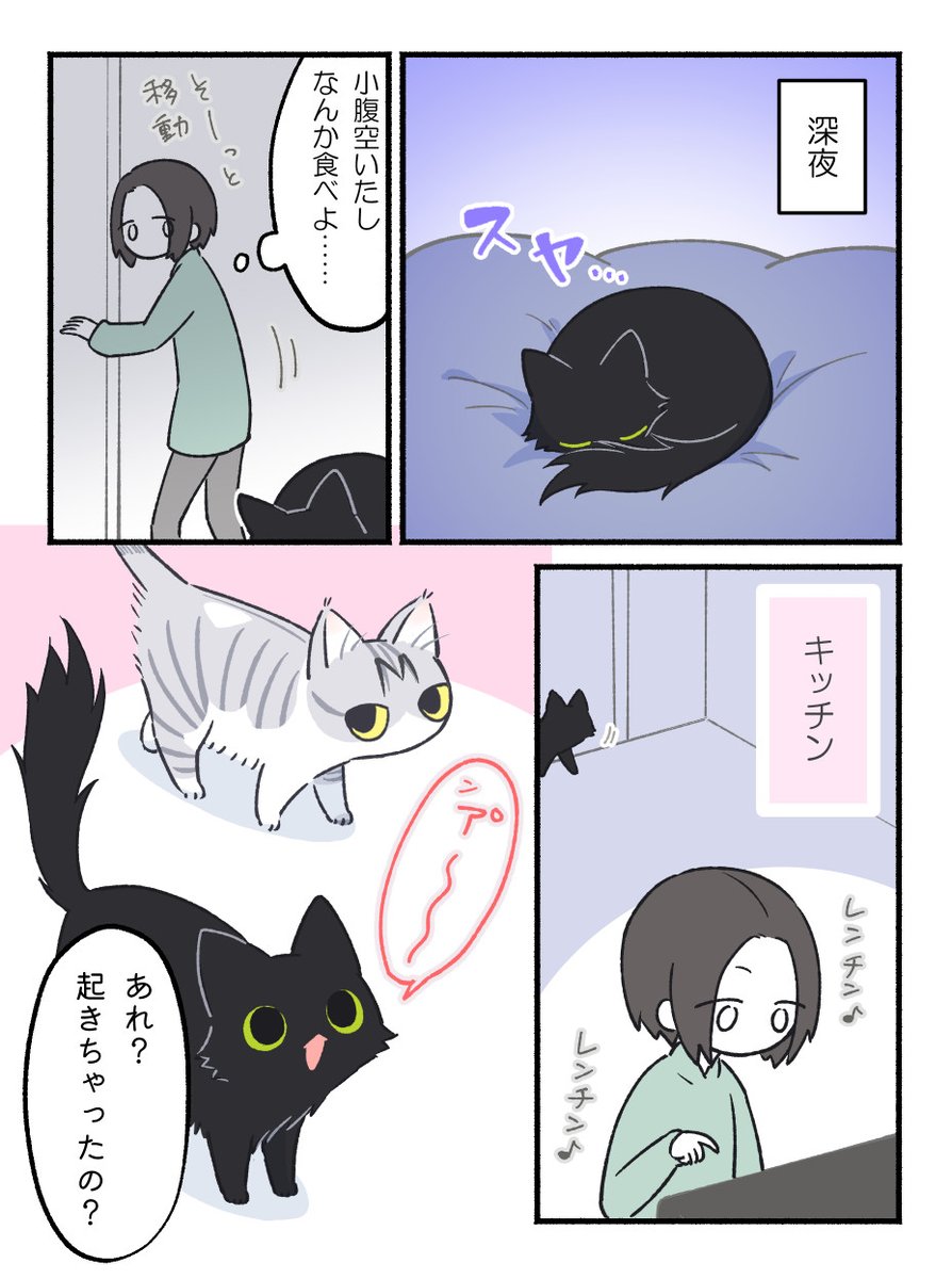 もふのいる生活 tweet media