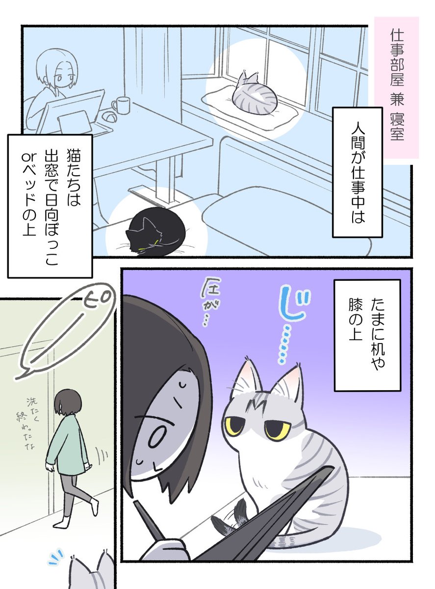 もふのいる生活 tweet media