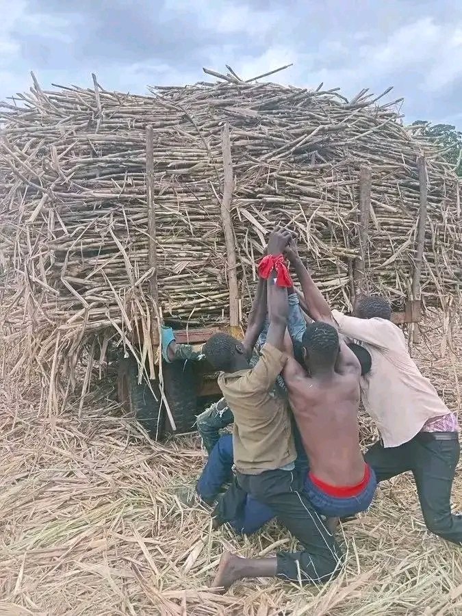 Herbert Seme tweet media