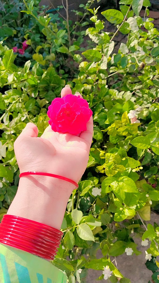 ༺𝙀𝙢𝙖𝙖𝙣🦋 tweet media