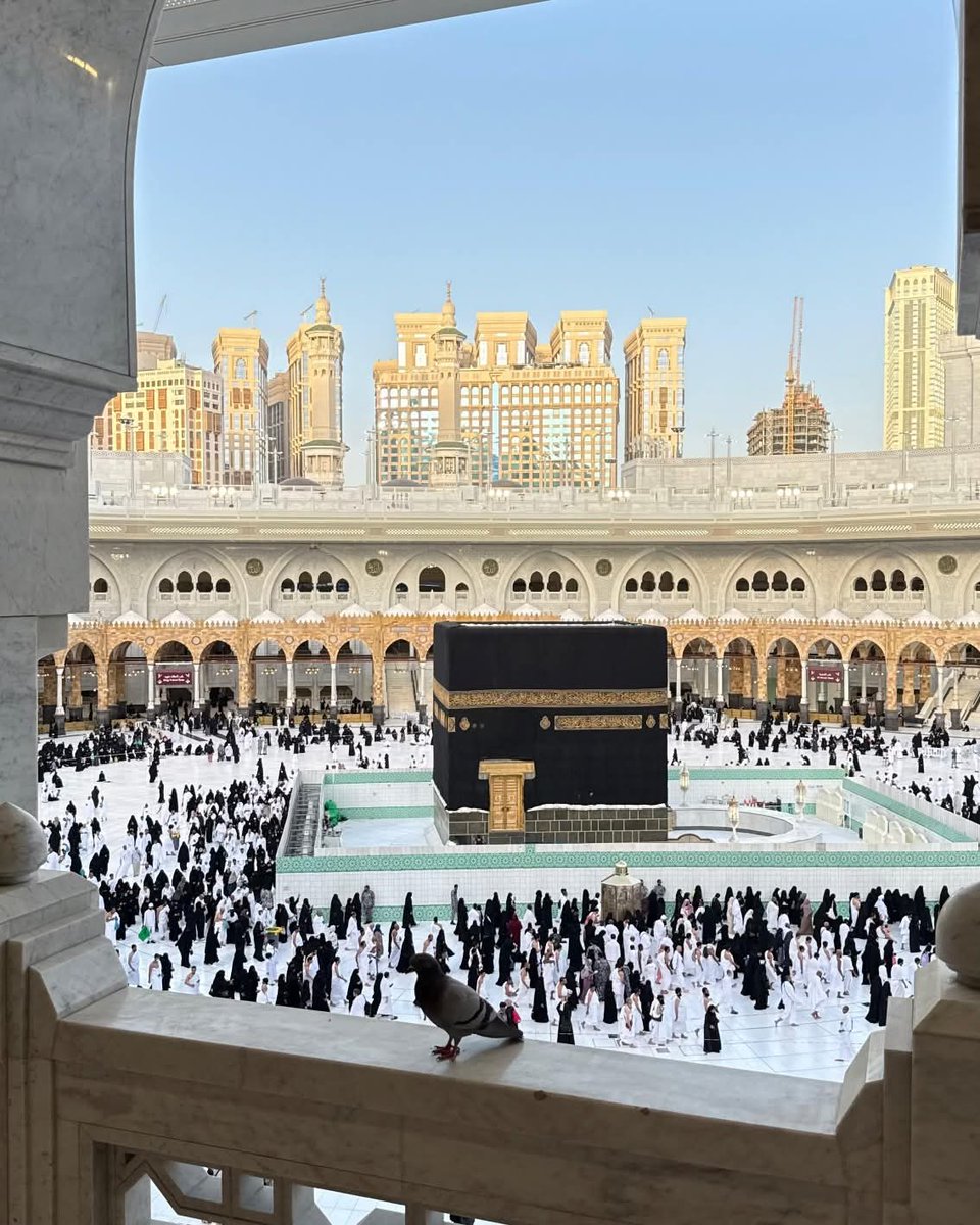 aaalmasud's tweet photo. Masjid Al Haram 🕋

Photo: @HaramainInfo https://t.co/XObtqN4Kbr
