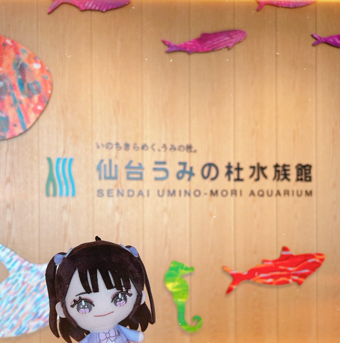 ちひろ🐹 tweet media