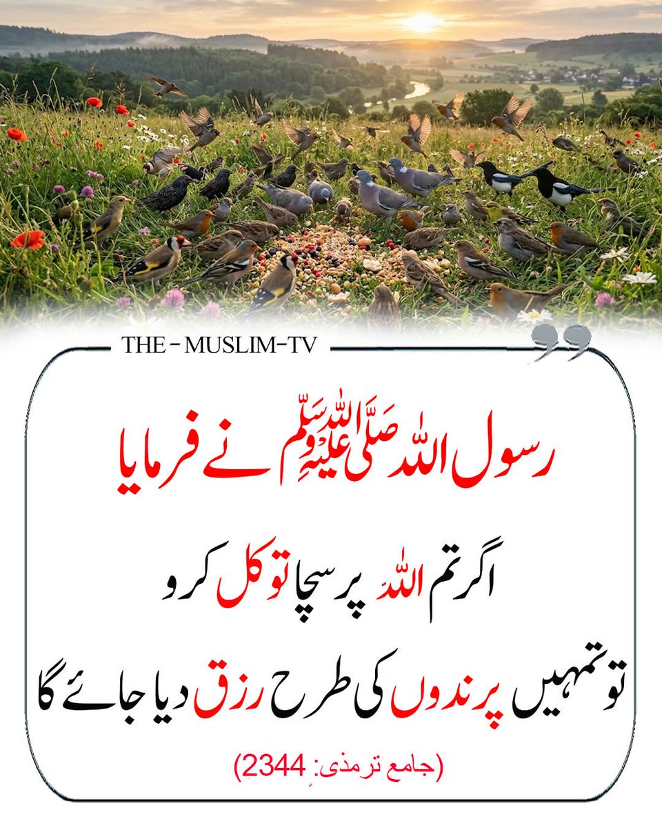 Ajmal_804's tweet photo. رسول اللہ ﷺ نے فرمایا: https://t.co/xW7aXhxCyQ