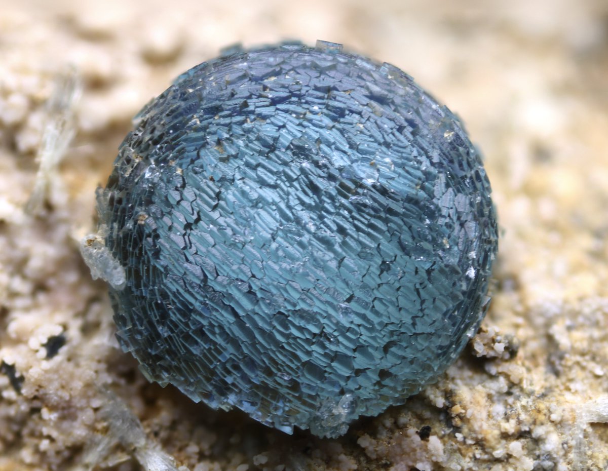 黒野(クロノ) tweet media