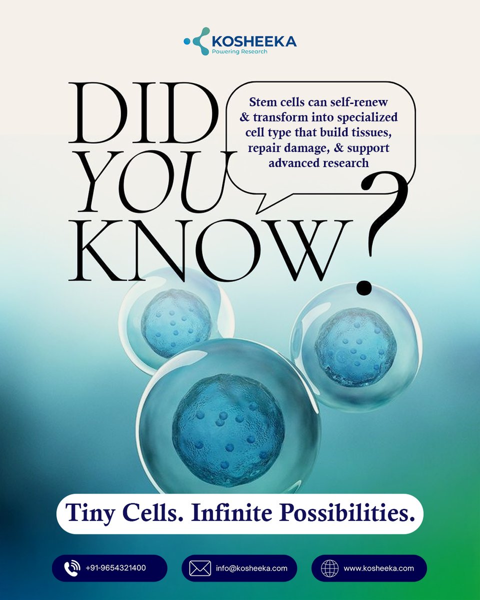 kosheeka's tweet image. Did you know stem cells are one of the most powerful tools in modern biology?

What makes them extraordinary is their ability to self-renew while also differentiating into specialized cell types such as bone, cartilage, fat, and neural cells.

#StemCells #CellBiology #LifeScience