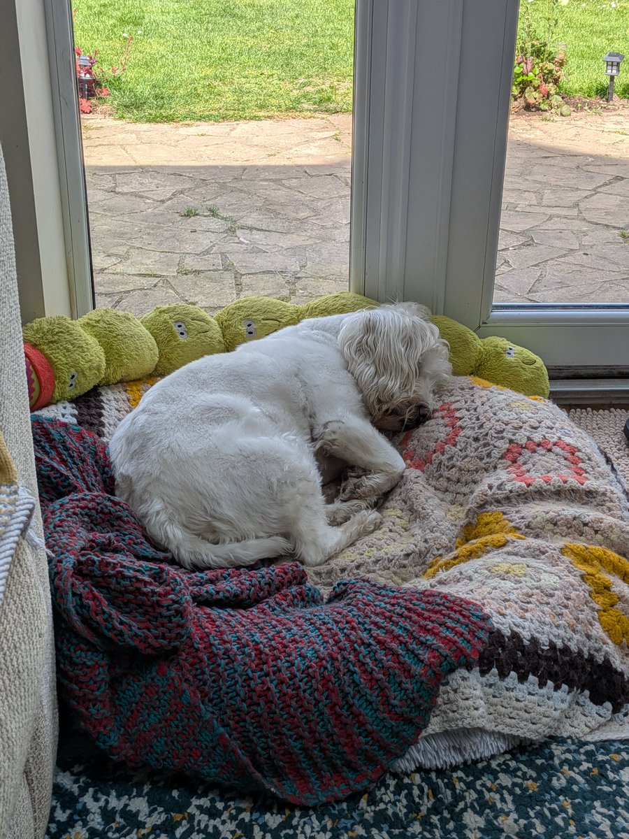 ernpup's tweet photo. Today's walk appears to have done the trick! 💤💤💤 #pooped #dogsofx https://t.co/wIgjze8RC7