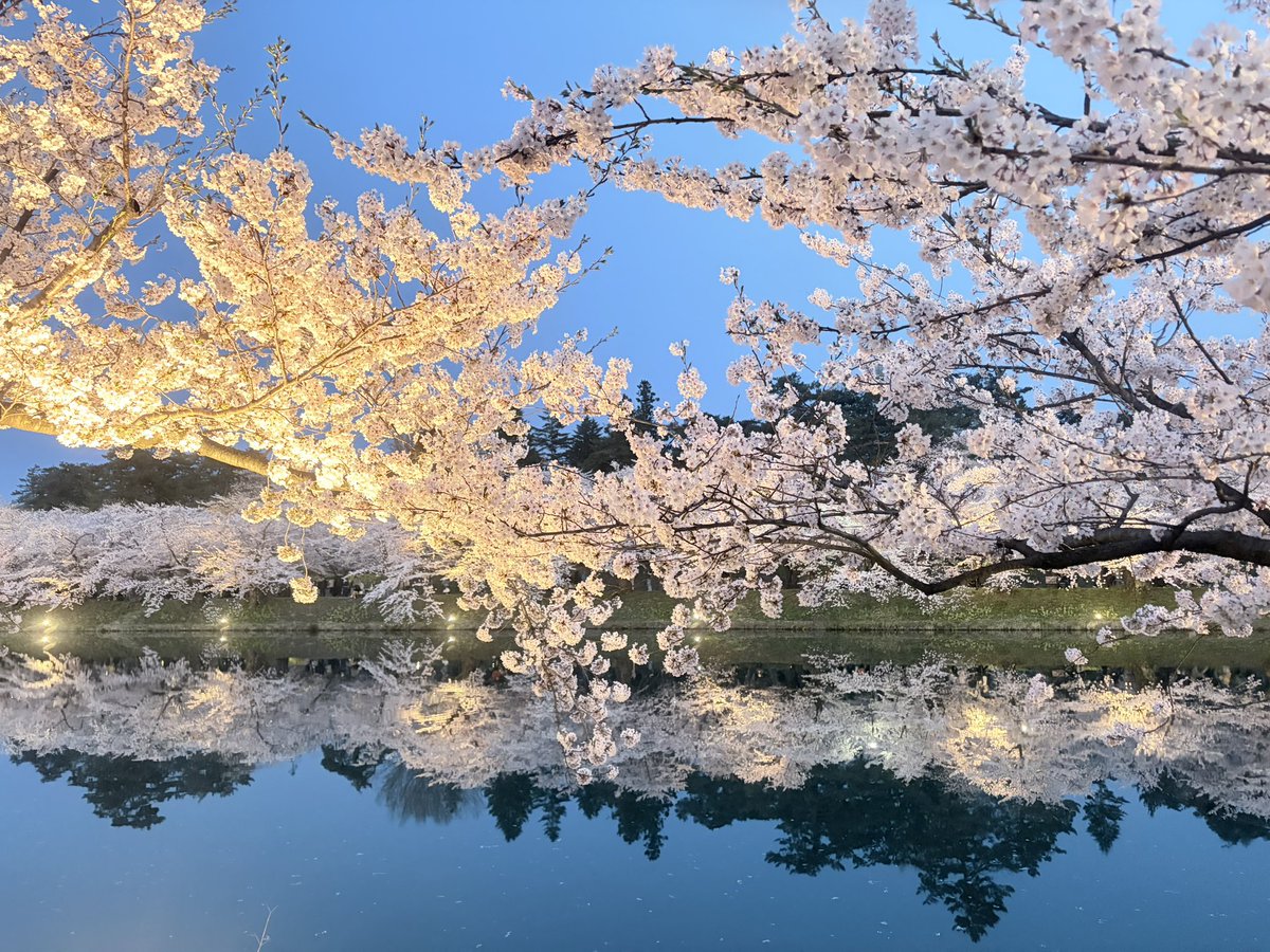 𝘢𝘪𝘵𝘦𝘺𝘢 tweet media