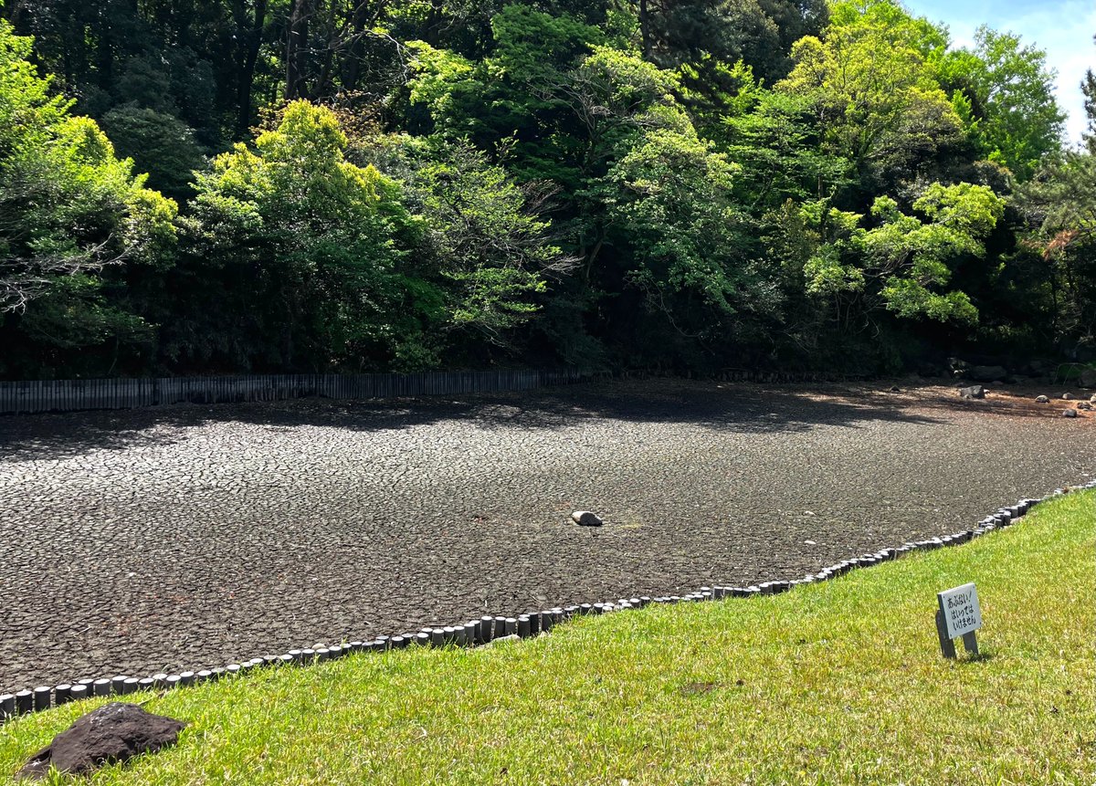 萱原里砂 tweet media