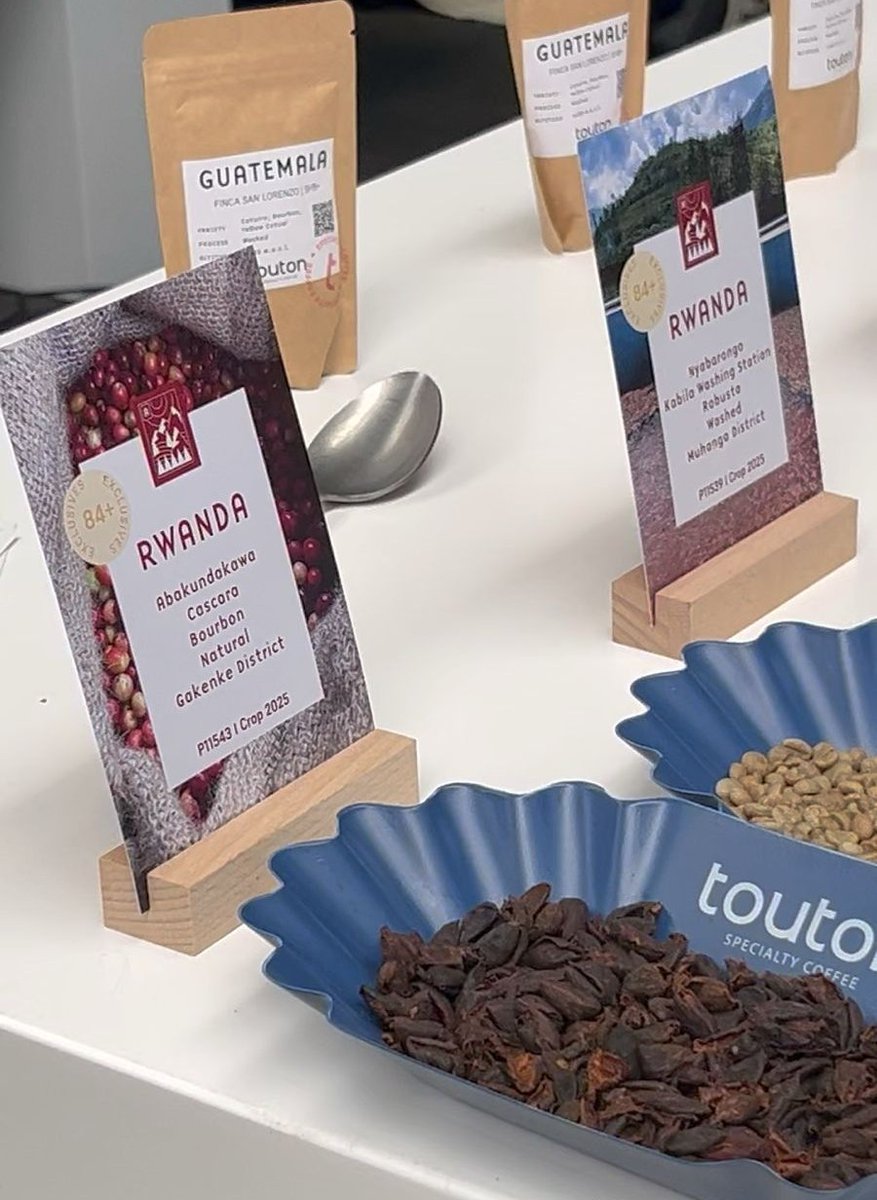 RwandAgriExport's tweet photo. Rwanda coffee is in the spotlight at the ongoing Amsterdam Coffee Festival 2026.

Through NAEB-led efforts, Rwanda continues to expand global market access by:

✅Promoting coffee on international platforms,
✅Strengthening relationships with global buyers,
✅Positioning Rwanda as a reliable specialty coffee origin.

➡️The result?;
Greater competitiveness, stronger global recognition and expanded markets.

#RwandaCoffee