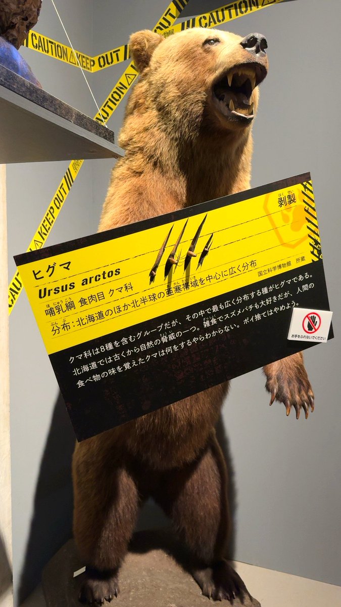 あめにん🍣🐙 tweet media