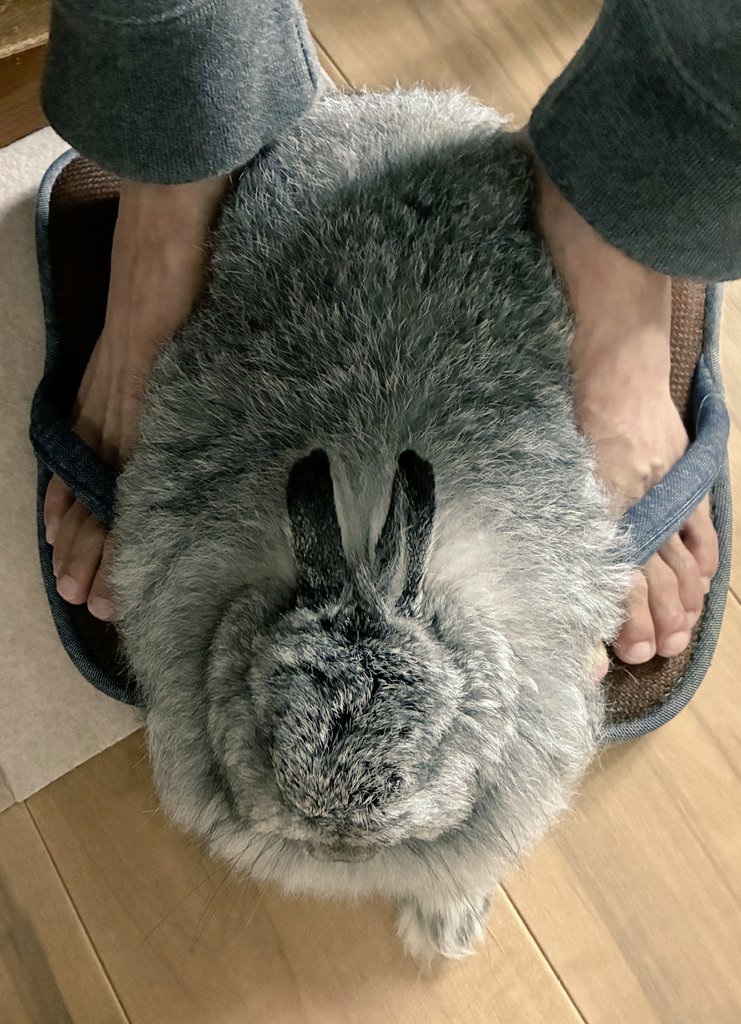 うのくらし tweet media