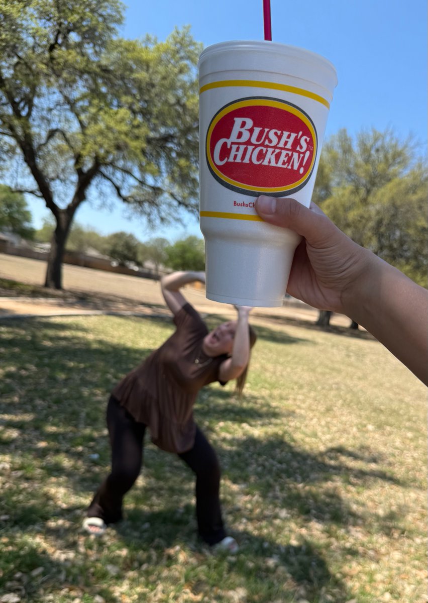 Bush'sChickenSA tweet media