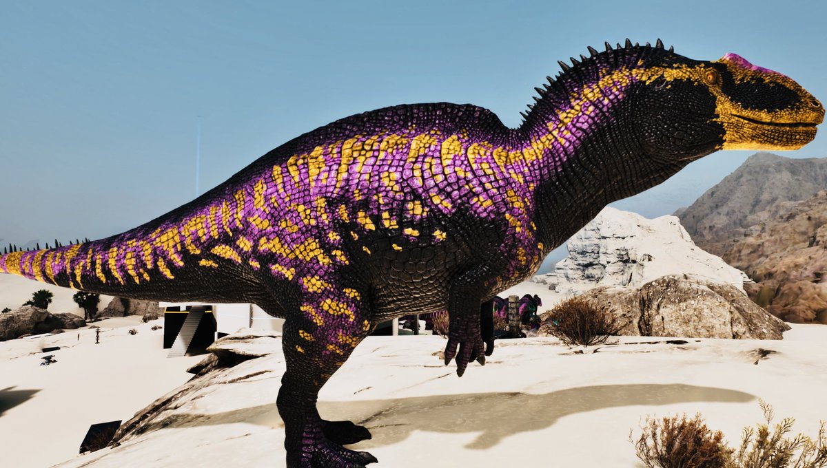 工藤 渚 tweet media