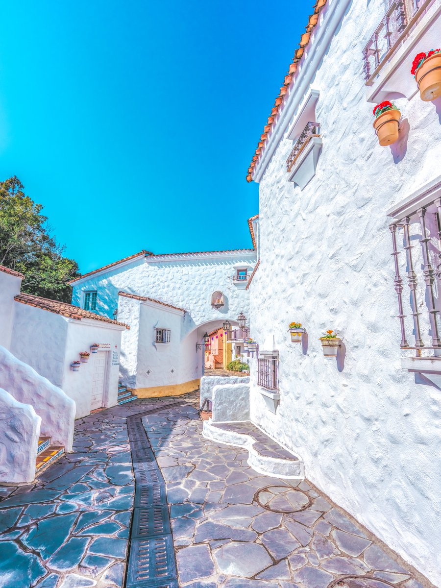 めかぶ tweet media