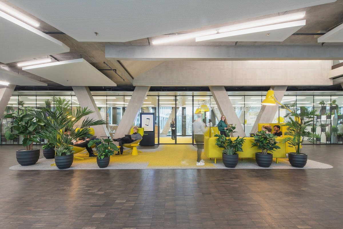 Archello's tweet image. The FHNW Campus Brugg-Windisch reception by @EvoDesignSwiss uses extended flooring, integrated planting, and custom-built desks to clarify arrival and orientation. 
archello.com/project/fhnw-c… 

@#InteriorDesign #Wayfinding #MaterialPalette