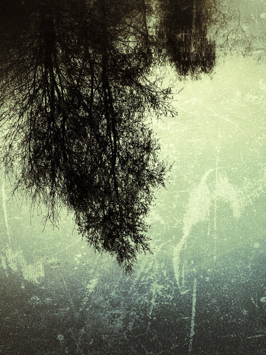 DrKreuels's tweet image. Kleine Umfrage:

Hast du an dir festgestellt, dass deine Kreativität (egal wofür) nach deinem Trauererlebnis zugenommen hat?

Antworte einfach in die Kommentarfunktion.

#trauer #kreativität #wachstum