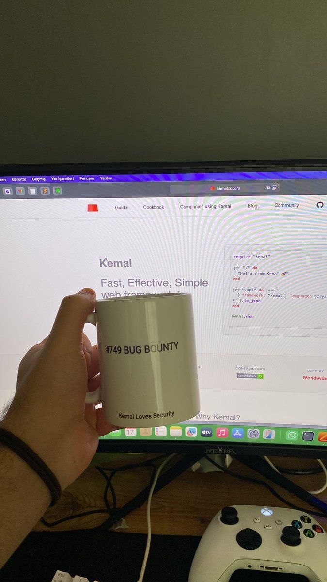 Kemal Web Framework tweet media