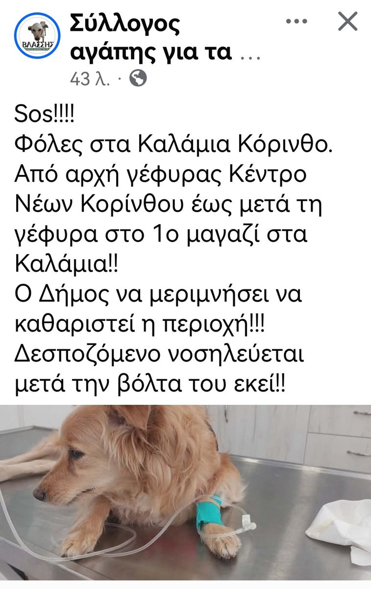 Christinaliroudia tweet media