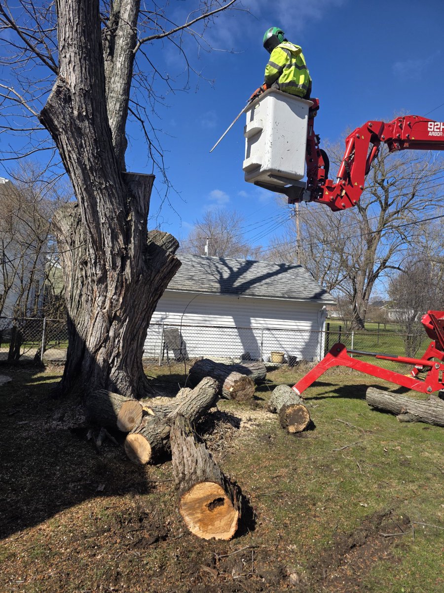 kdtree_roch's tweet image. Big tree 🌳 tight space ⚠️ zero margin for error.
Strategic cuts. Controlled drops. No damage.
That’s not luck, that’s experience.
📞 585-966-9888
#TreeRemoval #TreeSafety #Arborist #StormPrep #TreeCutting #TreeRemovalExperts #TreeSafetyFirst
