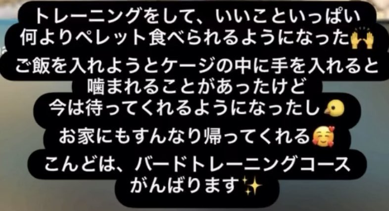クロース真桜 tweet media